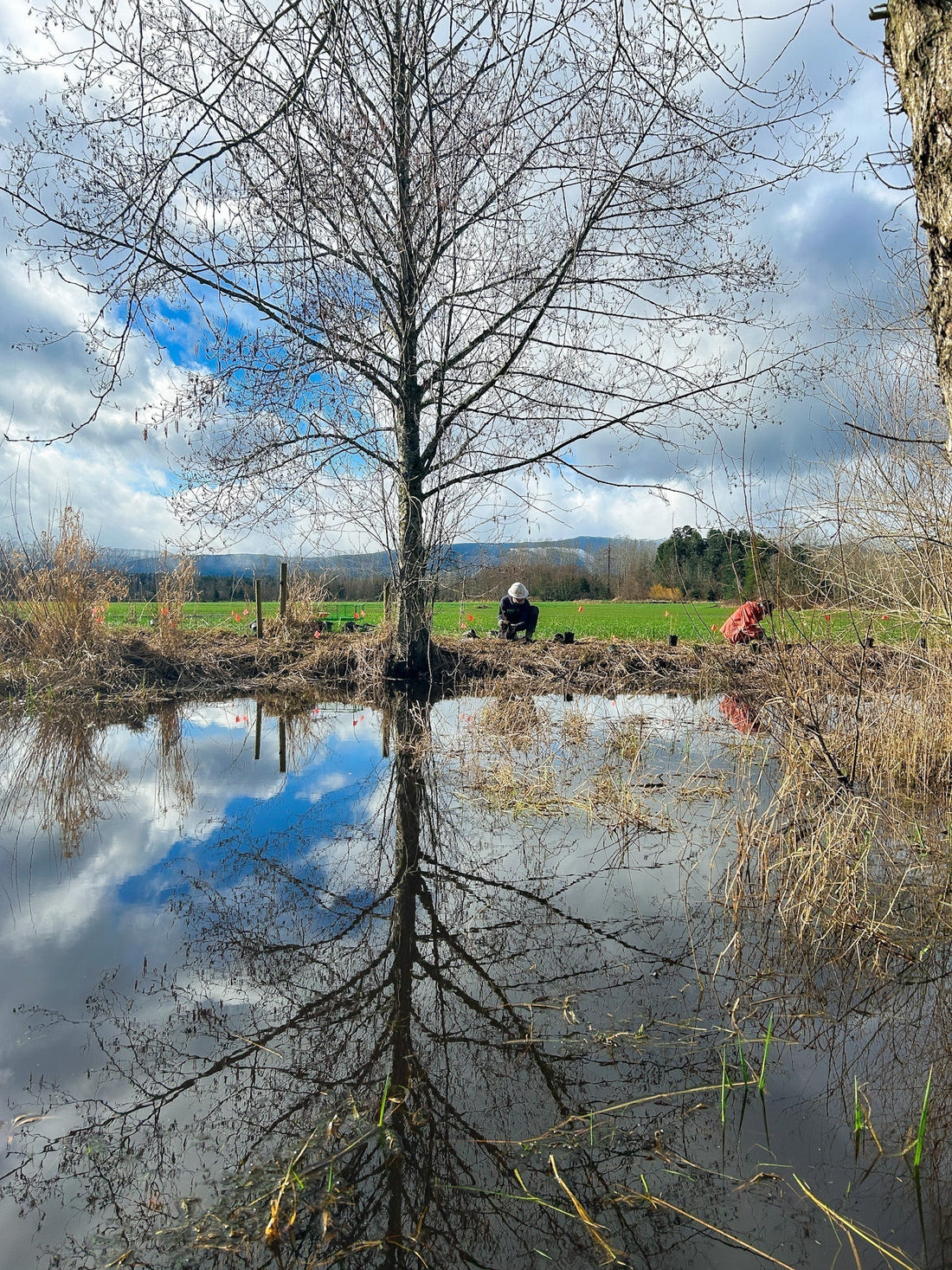 Our farm grew by 100 trees, shrubs, and plants!