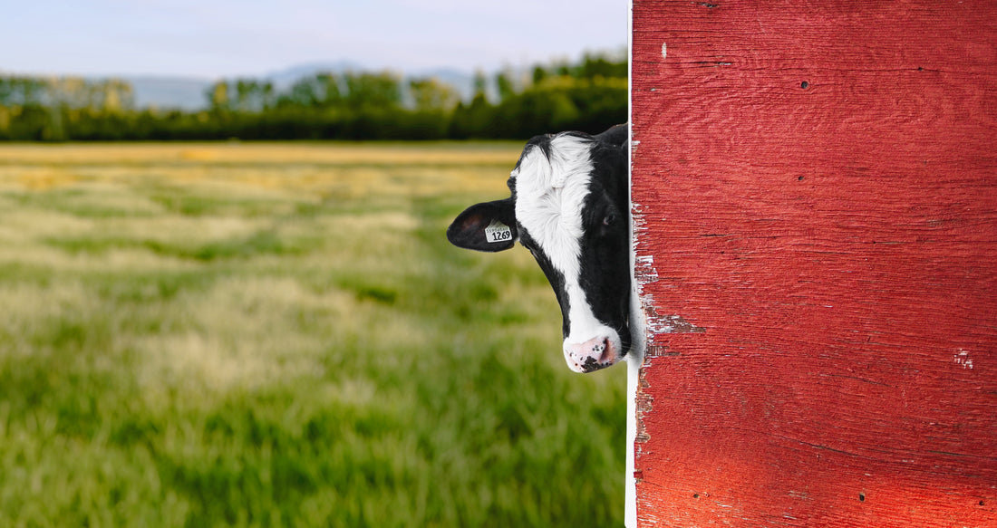 What Does Farm to Table Actually Mean?