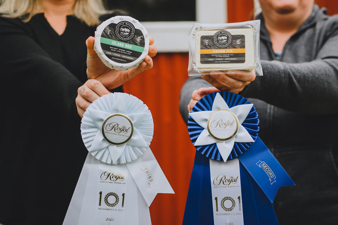 Awards at the 2023 Royal Agricultural Fair's Cheese & Butter Competition!