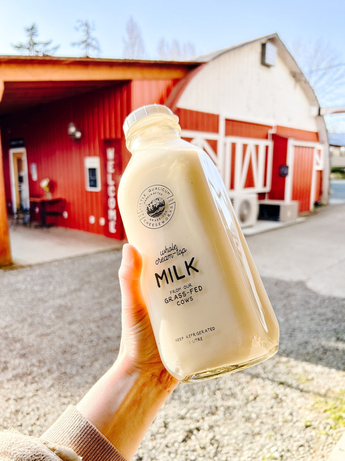 The Best (& Easiest) Eggnog Recipe—No Raw Eggs!