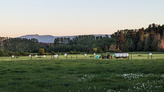 Why 'Grass-Fed' is a Flex