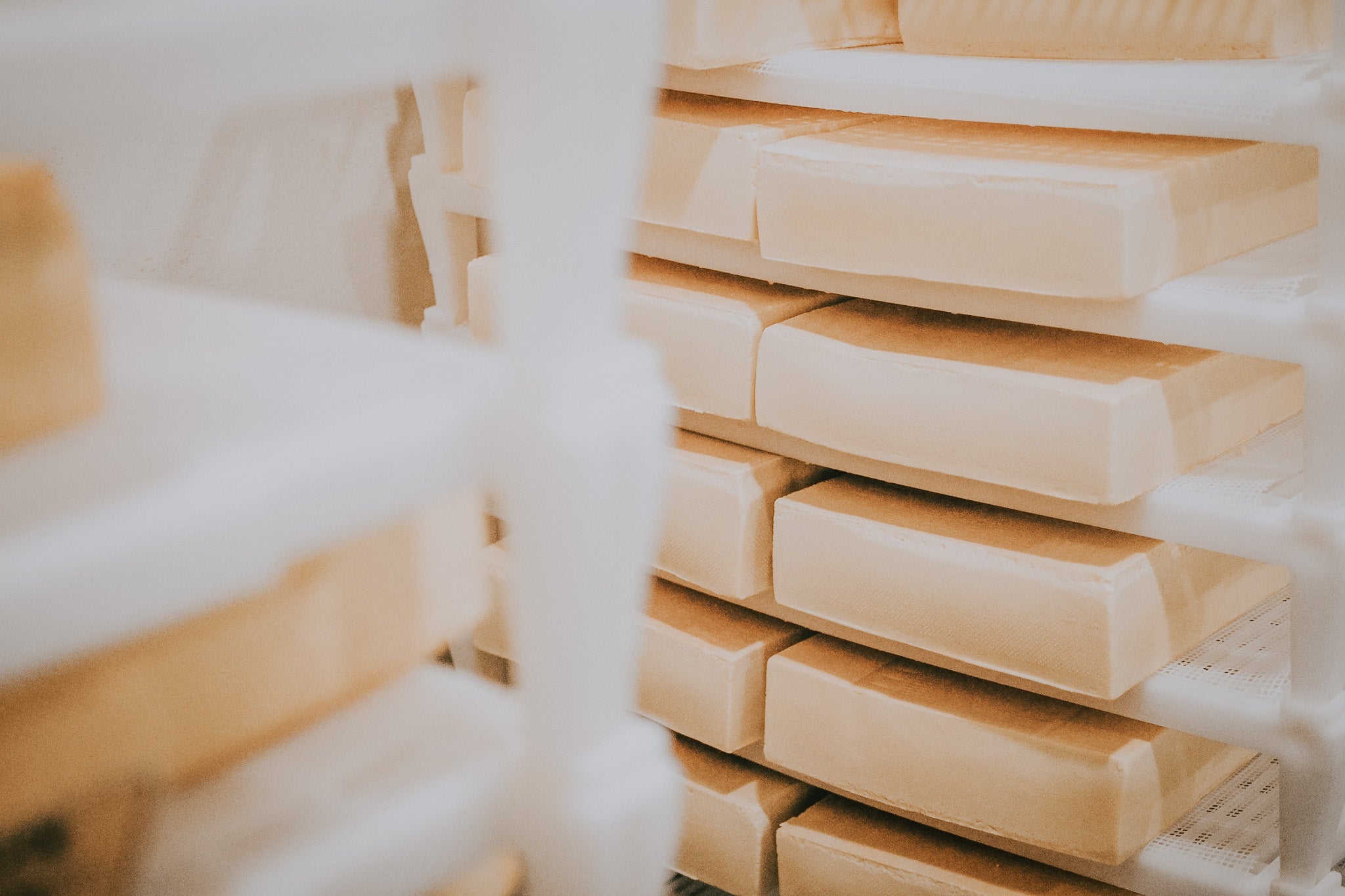 Cheese stored on shelving