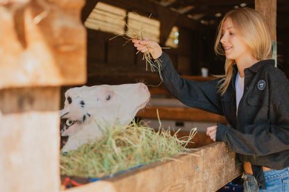 Person feeding a cow with hay in a barn setting