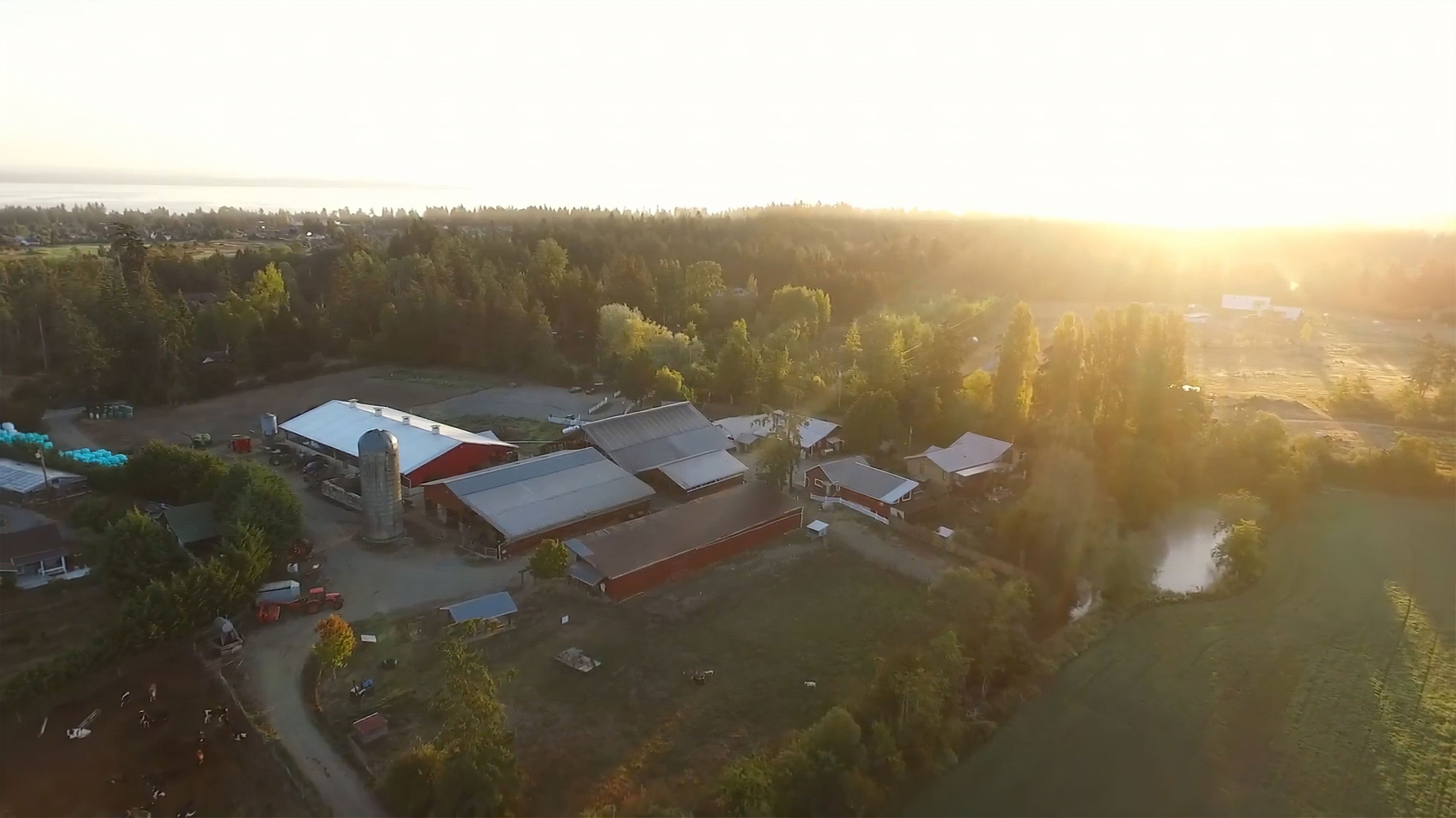 Drone image of barns and farm fields. The image faces east towards the ocean where the sun is rising.