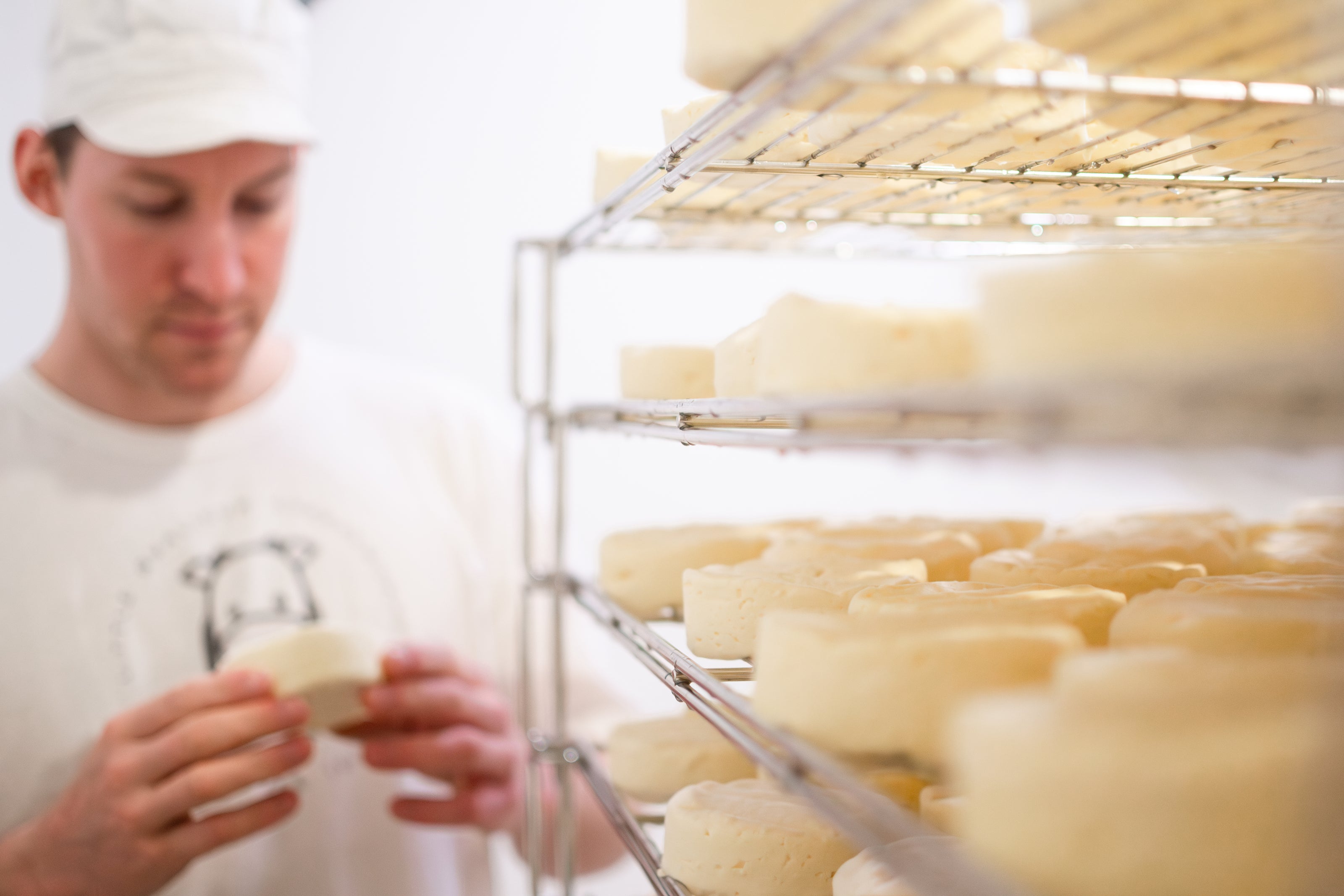 Person inspecting cheese wheels on a rack in a cheese-making facility