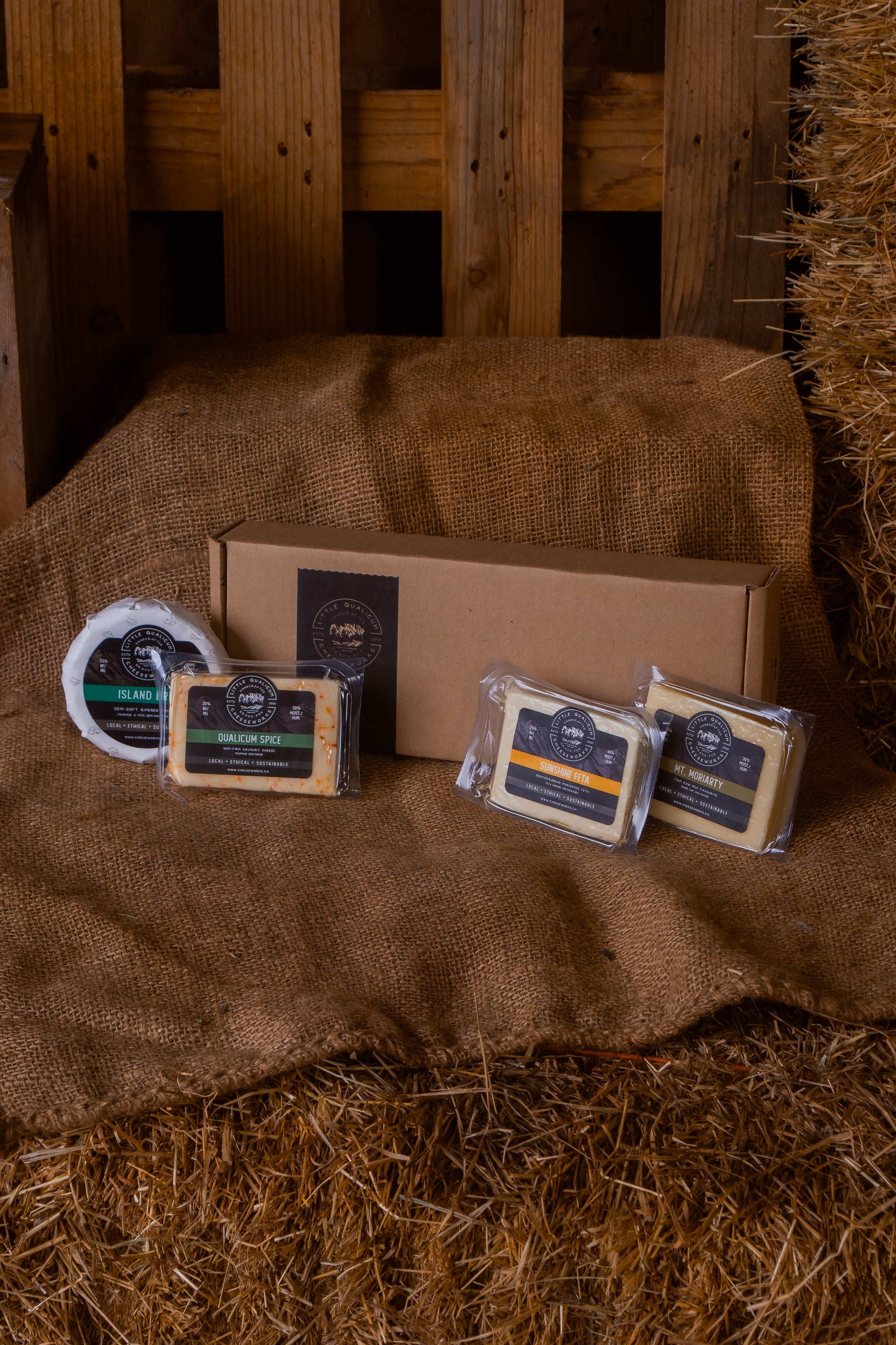 Brie, qualicum spice, sunshine feta and mount moriarty, with a cardboard box behind them on a rustic wooden shelf with hay
